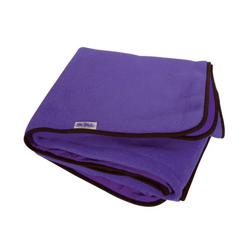 SILLY BILLYZ PLAY/FLOOR MAT PURPLE 140X100