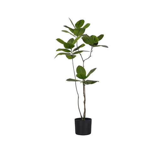 Artificial Rubber Tree-160CM