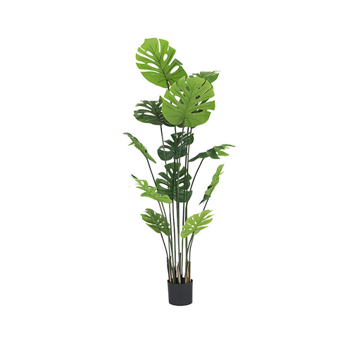 Artificial Monstera Deliciosa-180CM