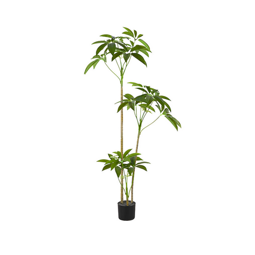 Artificial Money Tree-180CM