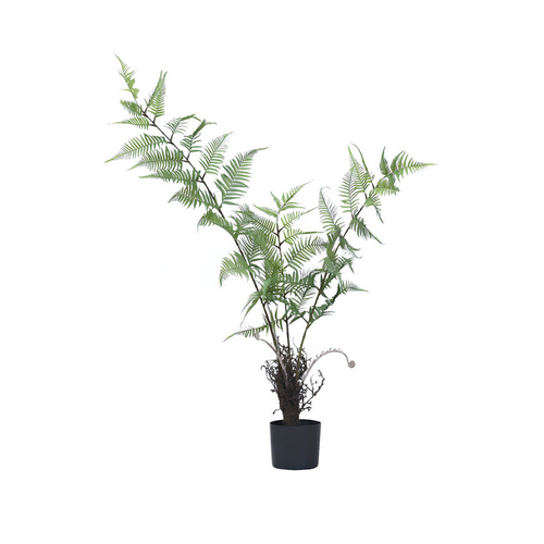 Artificial Monkey Fern-120CM