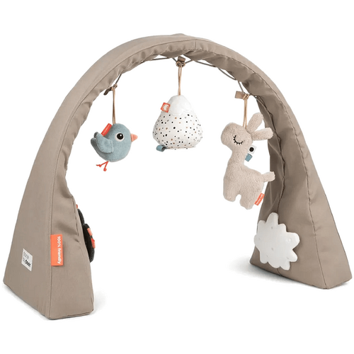 Done by Deer Activity Gym