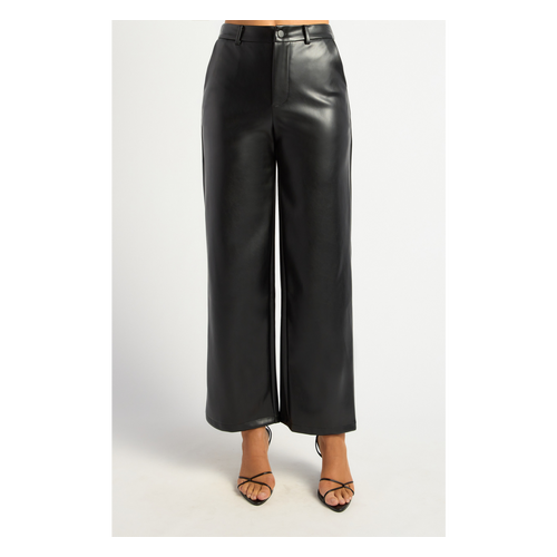 Strech Faux Leather Pants (WPA295B)