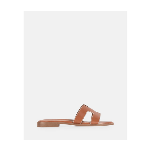 Harp