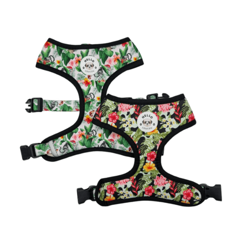Hello Coucou KARMA CHAMELEON - Dog Cat DOUBLE SIDED Reversible HARNESS