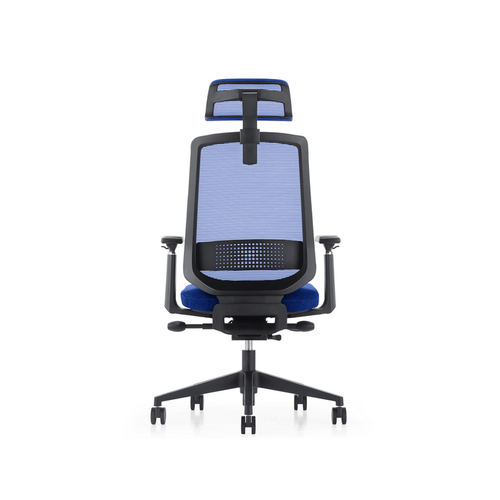 LDR ErgoLite Ultra ChairPremium ergonomic office chair with 3D arms - BLUE
