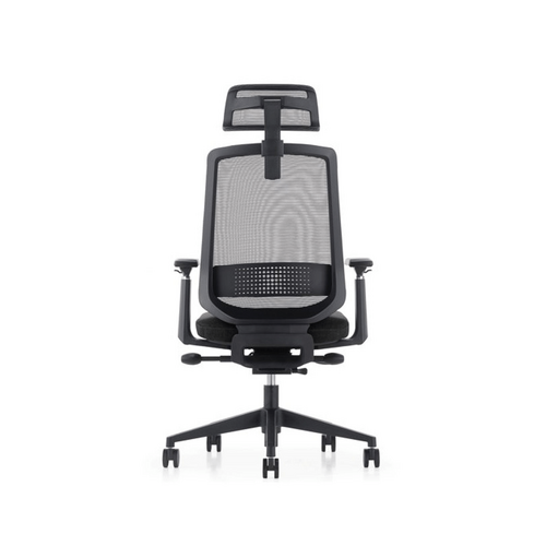 LDR ErgoLite Ultra ChairPremium ergonomic office chair with 3D arms - BLACK