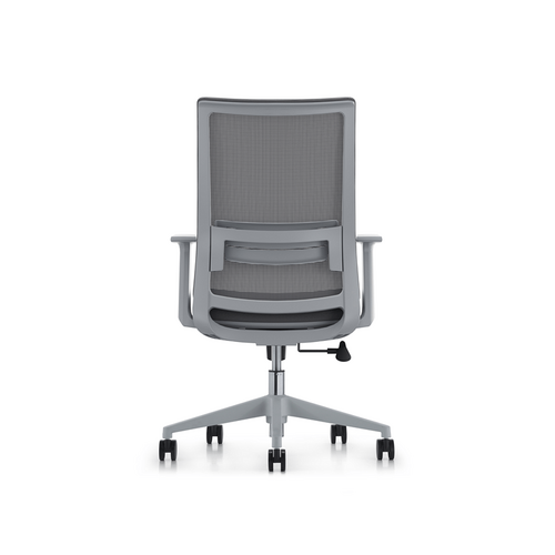 LDR ErgoLite Max Office Chair Ergonomic with lumbar support - GREY