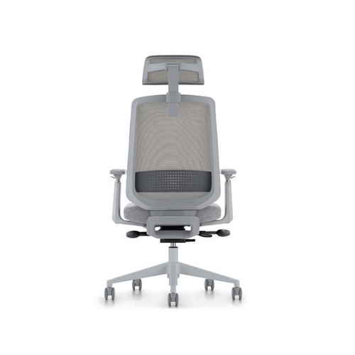 LDR ErgoLite Ultra ChairPremium ergonomic office chair with 3D arms - GREY