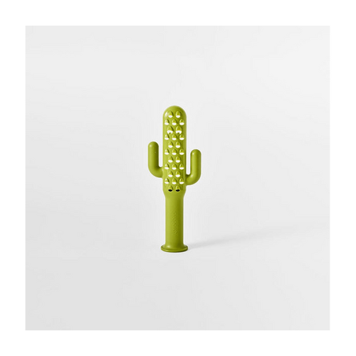 Cactus Cheese Grater