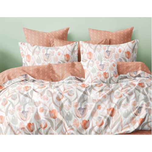 Affiniti Living Microfibre QCS Double - Assorted Cartons - Odyssey