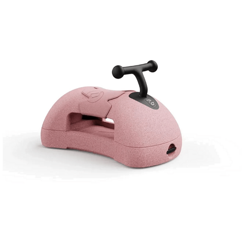 Scoot and Ride My First Rose